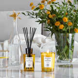 Acqua di Parma Insieme 180ml Diffuser with Reeds