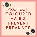 Aveeno Scalp Soothing Blackberry Conditioner For Colour Treated Hair 354ml