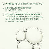 Weleda Skin Food Top To Toe Body Care Gift Set Face & Body Moisturiser & Lip Balm